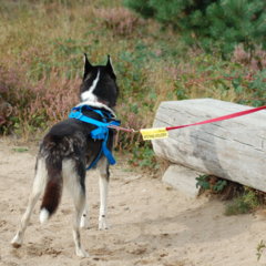 WAARSCHUWINGSSLEEVES