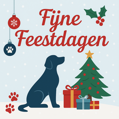 Spelregels Kraskaartactie