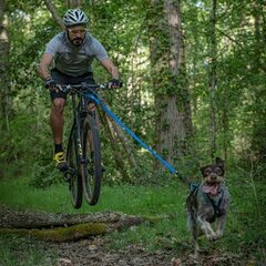 TREKLIJNEN & TOEBEHOREN