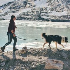 HARNASSEN & RUGZAKKEN