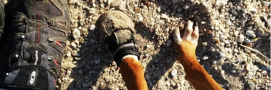 HONDENSCHOENEN & BOOTIES