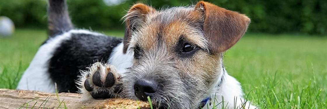 LEVER, NIEREN & BLAAS