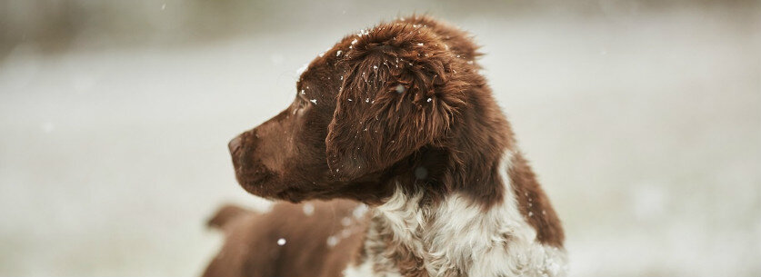 Retouren en herroeping