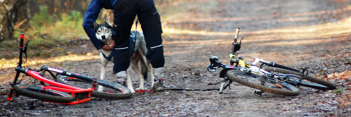 TREKLIJNEN & TOEBEHOREN