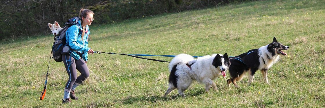 DOGTREKKING / HIKING