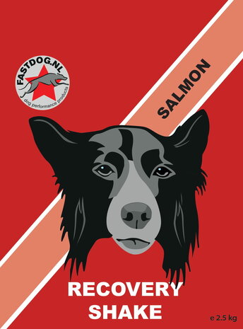 FASTDOG RECOVERY SHAKE | 2.5 KG