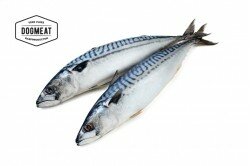 MAKREEL | 500 GRAM | ENKEL AFHALEN OP BESTELLING