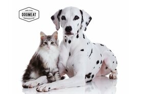 CATMEAT BEEFMIX RUND - VLEESROL 200 GRAM 