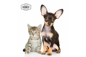 CAT'S NATURE RUND - VLEESROL 200 GRAM