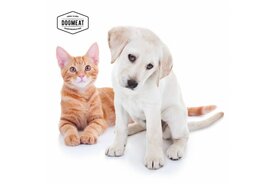 CAT'S NATURE EEND - VLEESROL 200 GRAM