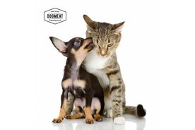 CAT'S NATURE KWARTEL - VLEESROL 200 GRAM