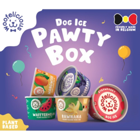 DOG ICE PAWTY BOX ( 6 x 100 gram)