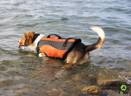 Classic Life Vest