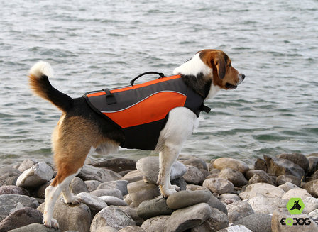 Classic Life Vest