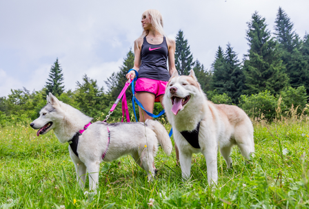 Running Harnas | Roze