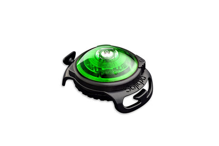 Orbiloc Dog Dual - Green