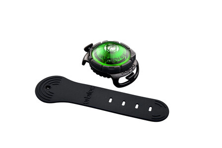 Orbiloc Dog Dual - Green