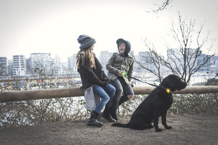 Orbiloc Dog Dual - Yellow