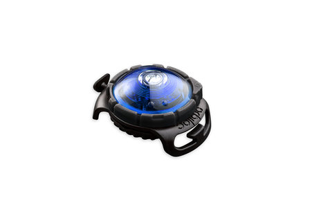 Orbiloc Dog Dual - Blue