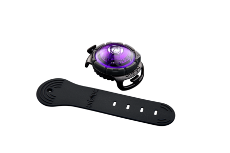 Orbiloc Dog Dual - Purple