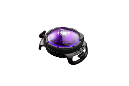 Orbiloc Dog Dual - Purple
