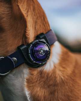 Orbiloc Dog Dual - Purple
