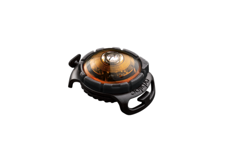Orbiloc Dog Dual - Amber