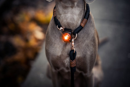 Orbiloc Dog Dual - Amber