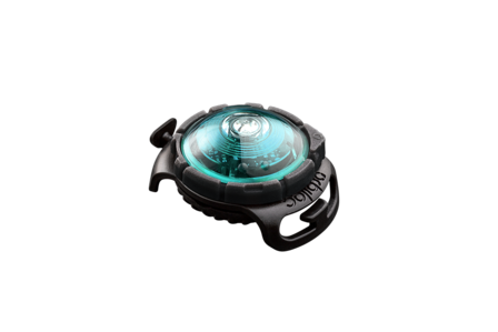 Orbiloc Dog Dual - Turquoise