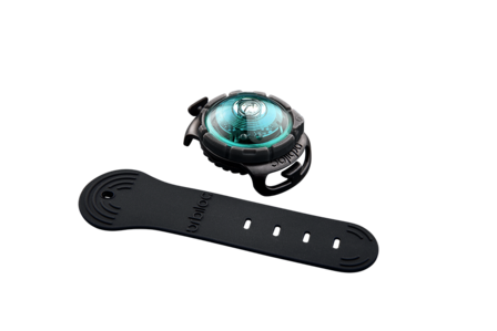 Orbiloc Dog Dual - Turquoise