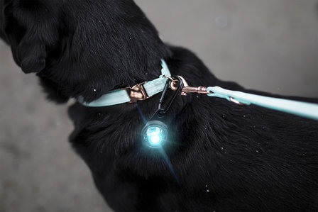 Orbiloc Carabiner