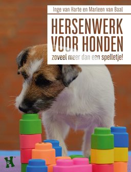 Hersenwerk voor honden zoveel meer dan een spelletje!