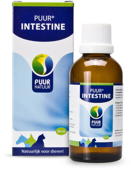 PUUR Intestine/Darm