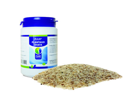 EHBO kit voor honden
