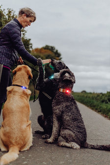 Orbiloc Dog Dual - Red