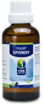 PUUR SPONDY