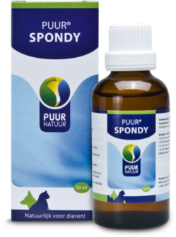 PUUR SPONDY