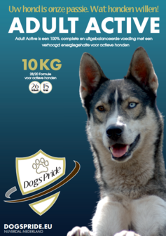 Adult Active 10 kg