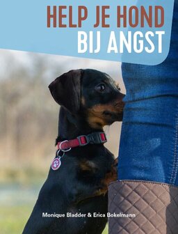 Help je hond bij angst