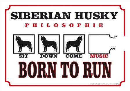 Siberian Husky Philosophie