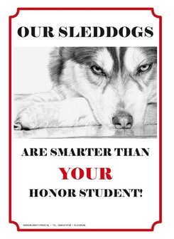 Our Sleddogs