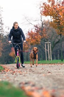 Yedoo Dog Adapter 25.4 - Lijnuithouder