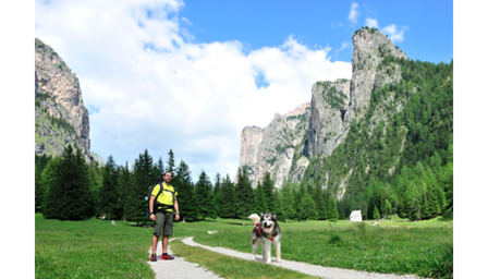 Dog Trekking Belt is bijzonder geschikt voor hiking tochten