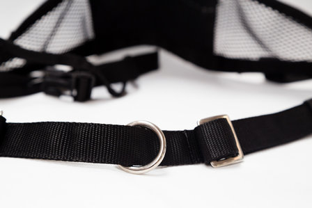 Canicross belt