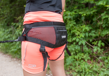 neewa canicross belt