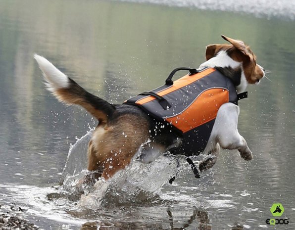 Classic Life Vest