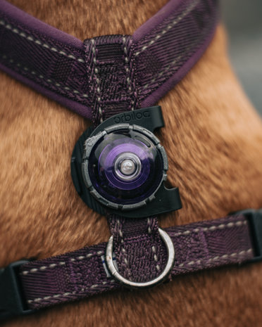 Orbiloc Dog Dual - Purple