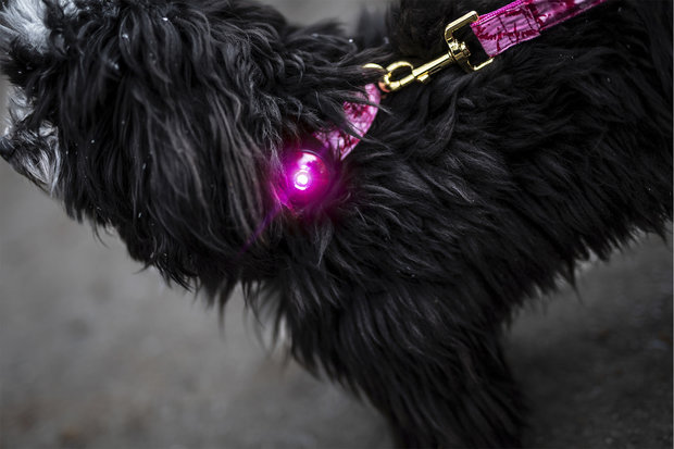 Orbiloc safety light pink