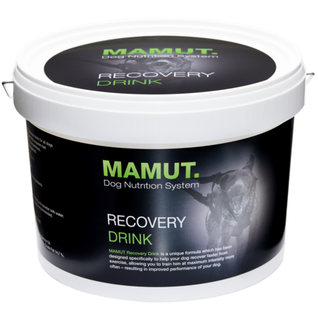 MAMUT RECOVERY DRINK | 800 GRAM