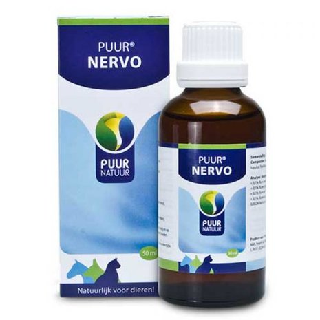 PUUR Nervo